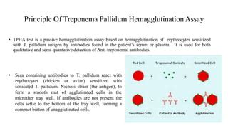 tpha test cost|Treponema Pallidum Haemagglutination Assay (TPHA).